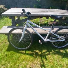 Decathelon Hybrid kids bike