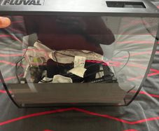 fish tank fluval 50 L