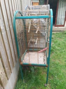 parrot cage