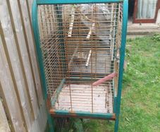 parrot cage