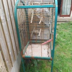 parrot cage