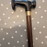 Walking stick Image 3