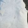 New Super Soft Genuine Sheepskin Rug Image 4