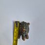 Brass Turtle Animal Statue Small Sculpture Tabletop Figurine Home Decor Gifts Image 6