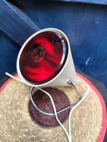 Vintage Philips Heat Lamp