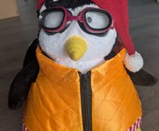 Hugsy From Friends Like New