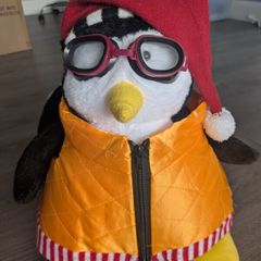 Hugsy From Friends Like New