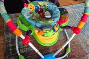 FREE Baby Einstein Baby Bouncer