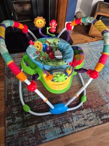FREE Baby Einstein Baby Bouncer
