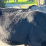 Heifers Image 2