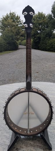 Tenor Banjo - Gold Tone IT17
