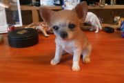 Dog figurine