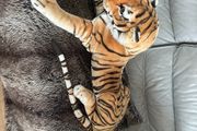 Large soft toy