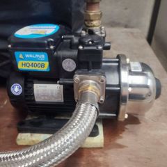 walrus pump repair