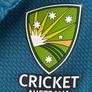 ASICS Cricket Australia 2023/24 Men's Polo Shirt L Image 6