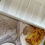 Avoca Cookbook Image 4