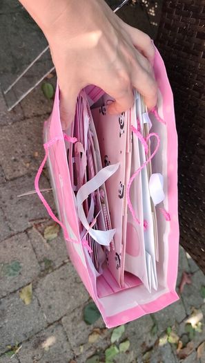 FREE baby girl gift bags