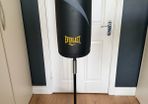 Everlast free standing punch bag and gloves