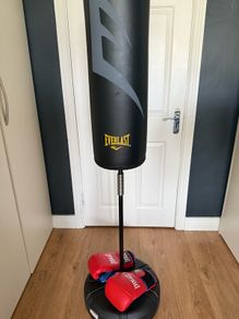 Everlast free standing punch bag and gloves
