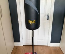 Everlast free standing punch bag and gloves