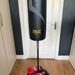 Everlast free standing punch bag and gloves