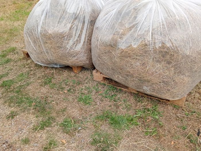 Animal Bedding/Straw
