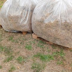Animal Bedding/Straw