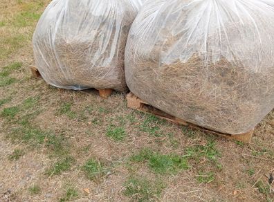 Animal Bedding/Straw