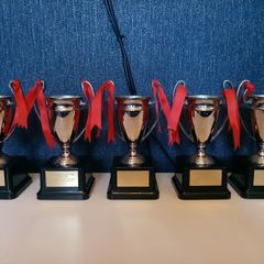 liverpool FC set of 5 replica European cups