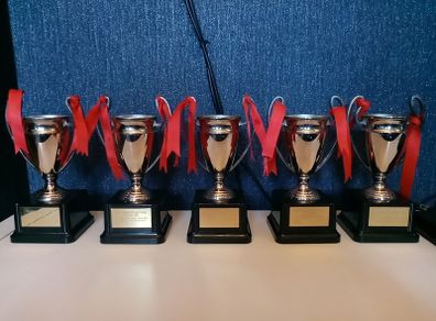 liverpool FC set of 5 replica European cups