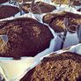 screened top soil Image 2