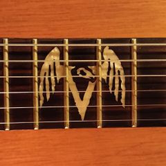 James Hetfield Vulture LTD by ESP