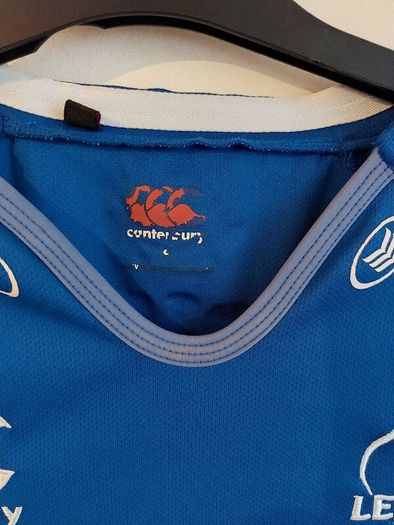 leinster rugby jersey