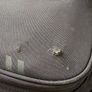 Gator Icon Guitar Case Image 7