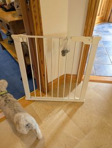 Safety gate (for baby and pet safety)