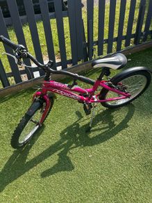 Ridgeback Girls Bike 20"