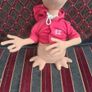E.t Image 2