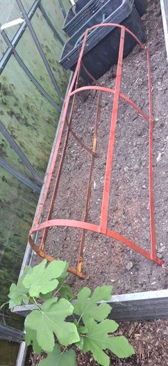 Greenhouse Hoop
