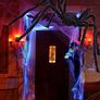 Giant Spider 6.6ft - 200cm, Spider Web 23ft - 700cm, 30pcs Plastic Spiders, 40g Cobweb - Halloween Decorations Triangular Cobweb for Indoor Outdoor Home Yard Image 5