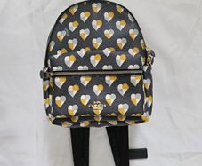 Coach Mini Charlie Bagpack