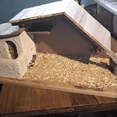 Christmas Crib