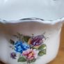 Cuban Oregano Plant with ceramic pot Image 3