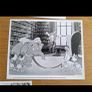 Walt Disney Duck Tales Treasure Of The Lost Lamp Press Kit Image 5