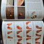 Coarse Fishing A Step-By-Step Guide Image 6