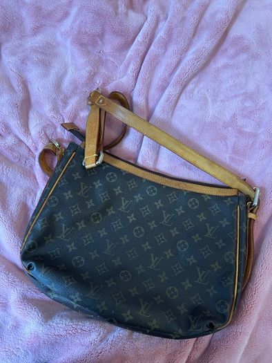 Louis Vuitton Bag Authentic