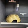 Vivarium with heat bulb and cave Image 2
