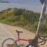 Paganini Road Bike Image 2