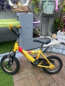 raleigh kids bike