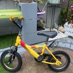 raleigh kids bike