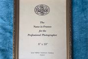 Gold-colored Spicer Hallfield picture frame